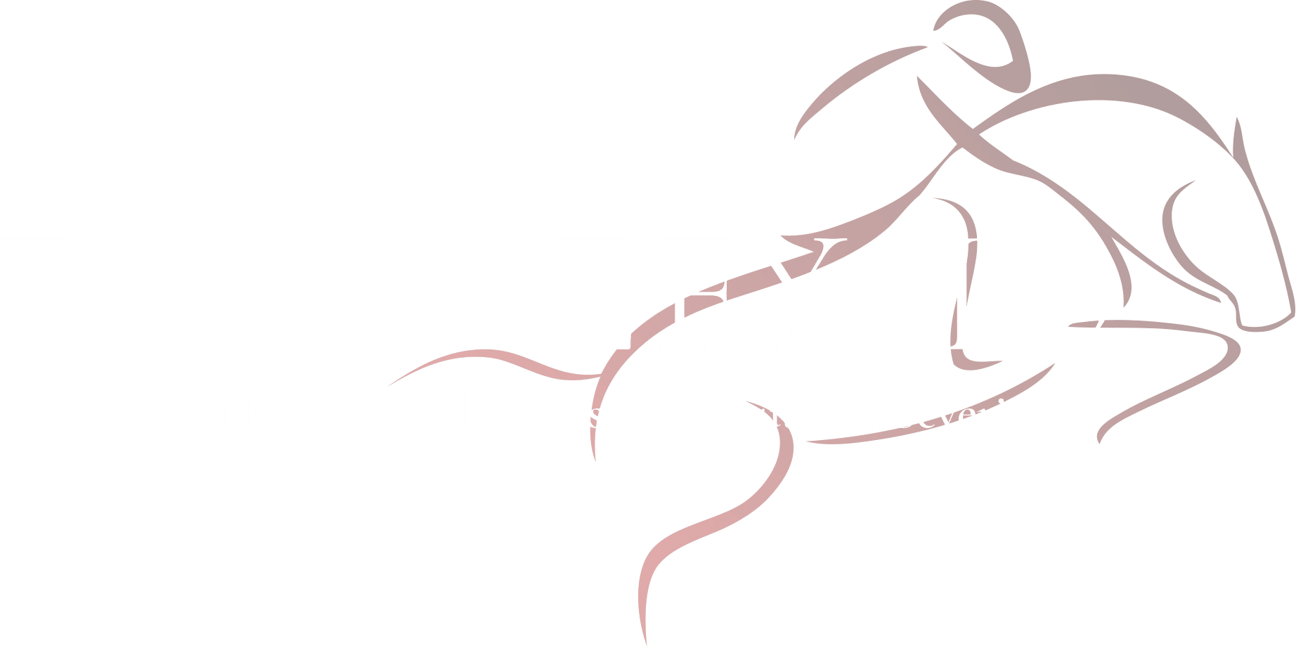 Fysioterapien Vestervang – EquineFysio